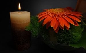Baltimore, MD cremation services